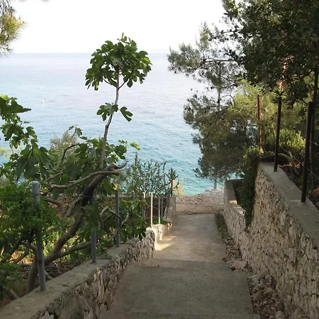 Otok * Τρογκίρ