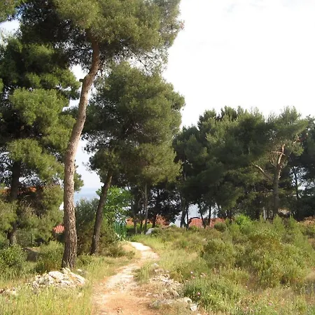 Otok *