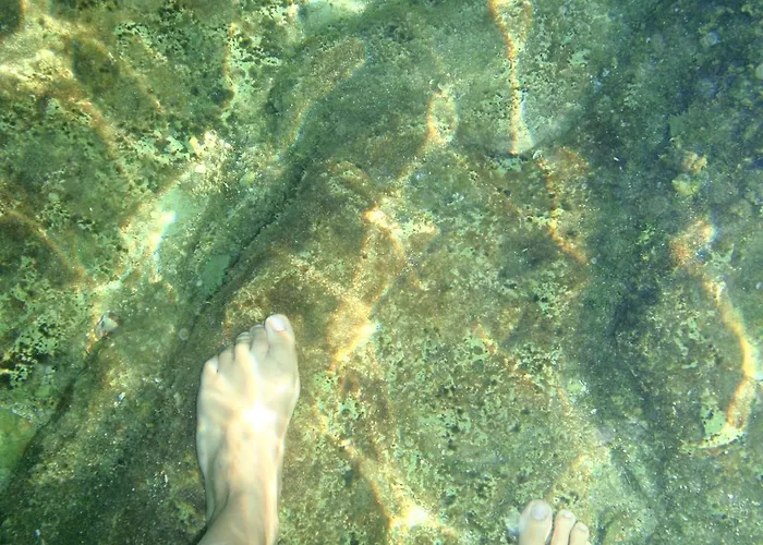Otok *
